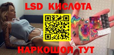 прущие грибы Дубна